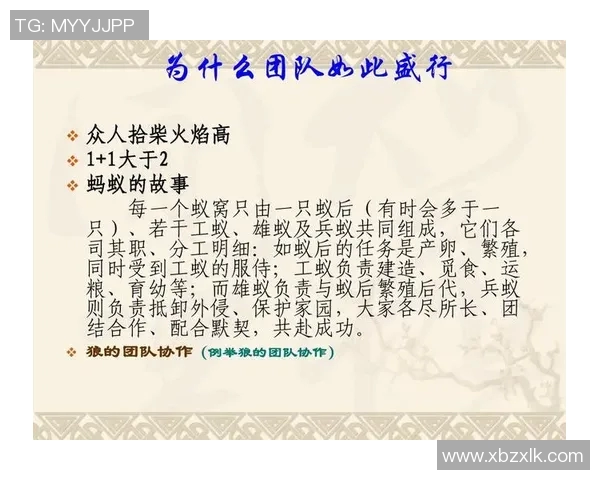 成都与南京乒乓球队赛后复盘分析团队协作与战术执行的成功与不足